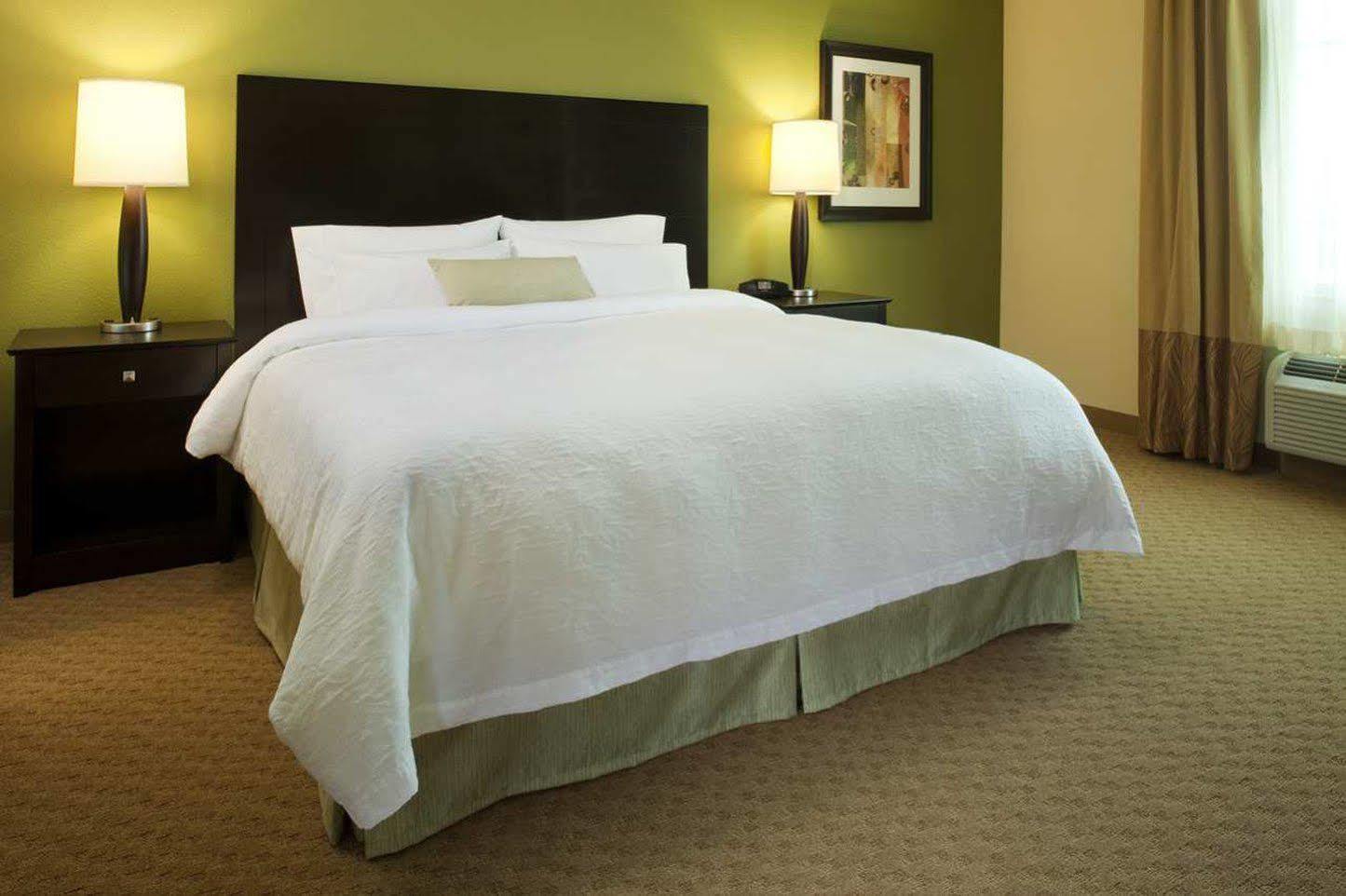 Hampton Inn & Suites Dickinson Nd Habitación foto